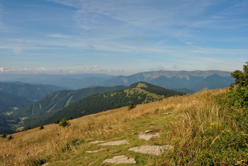 pepajs.cz